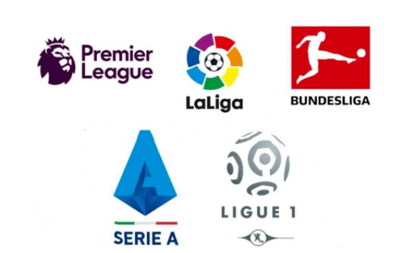 赢得了顶级 赢得了顶级