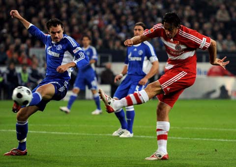 仅鼓舞了中 仅鼓舞了中